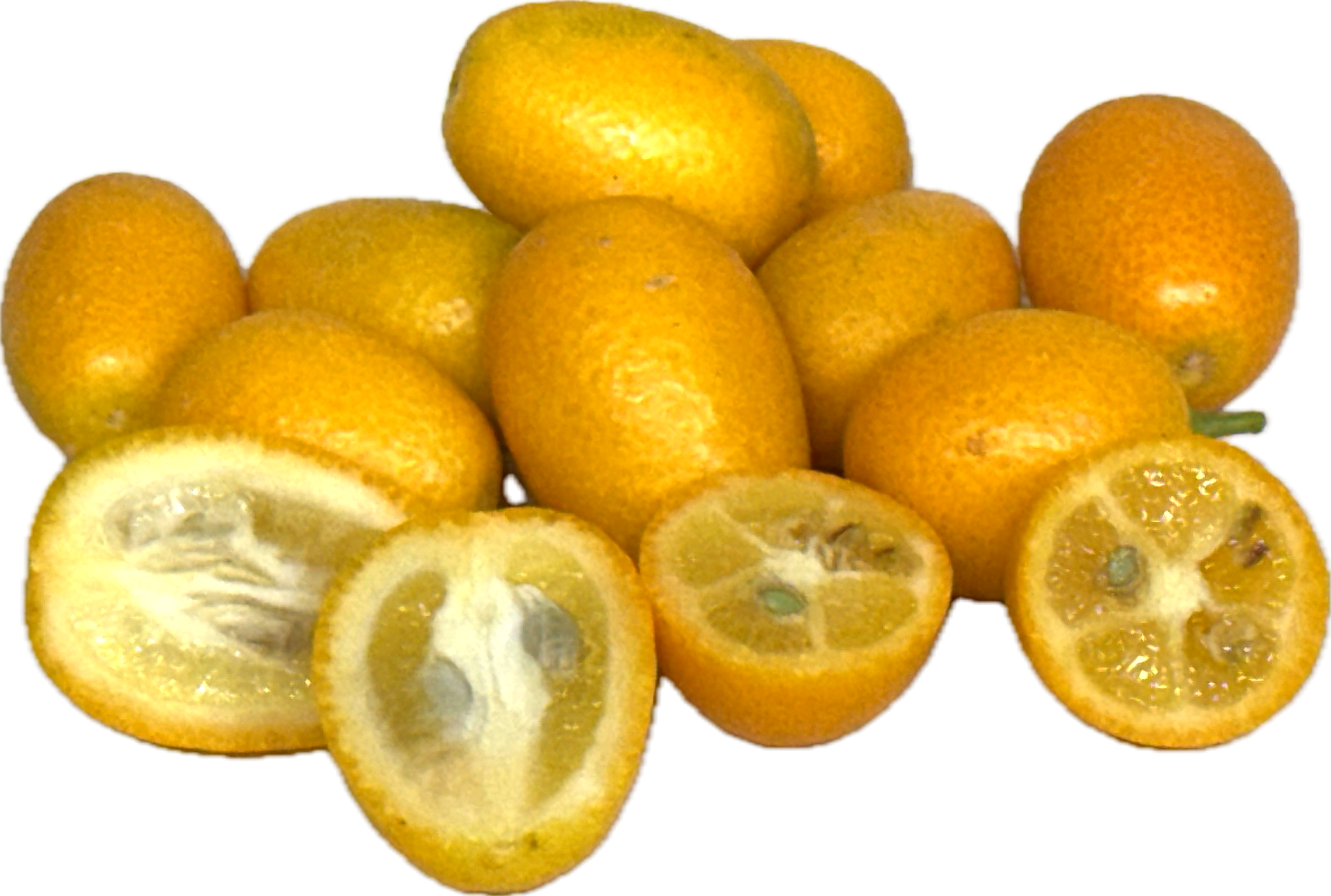 Kumquat (25 count) – TwinTree Garden