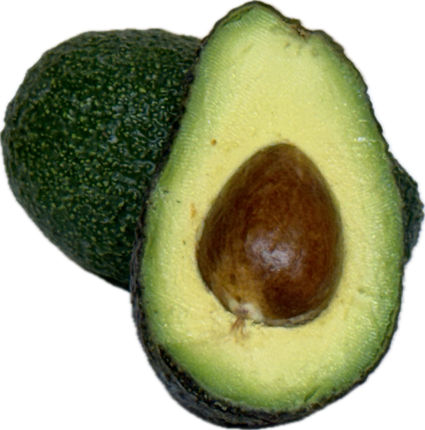 Avocado (6 count)