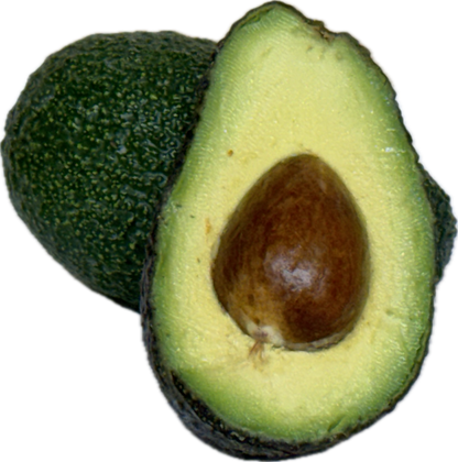 Avocado (6 count)