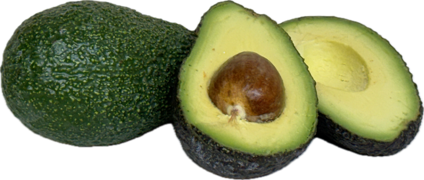 Avocado (6 count)