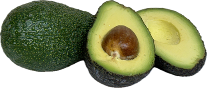 Avocado (6 count)