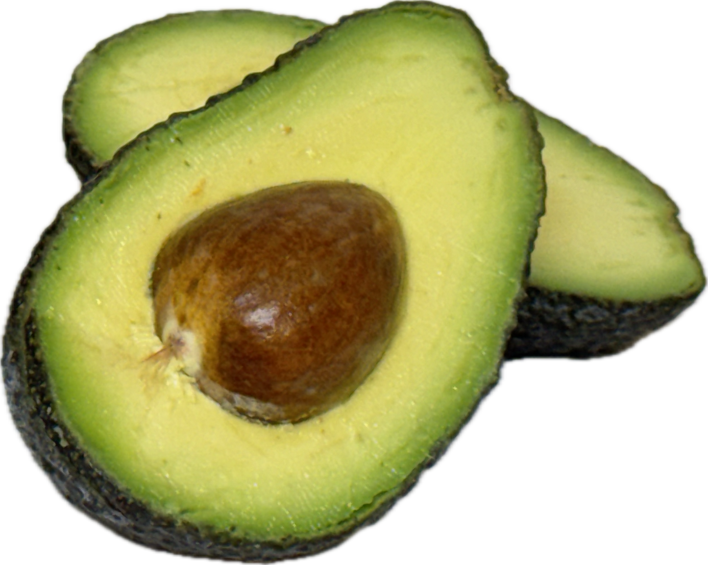 Avocado (6 count)