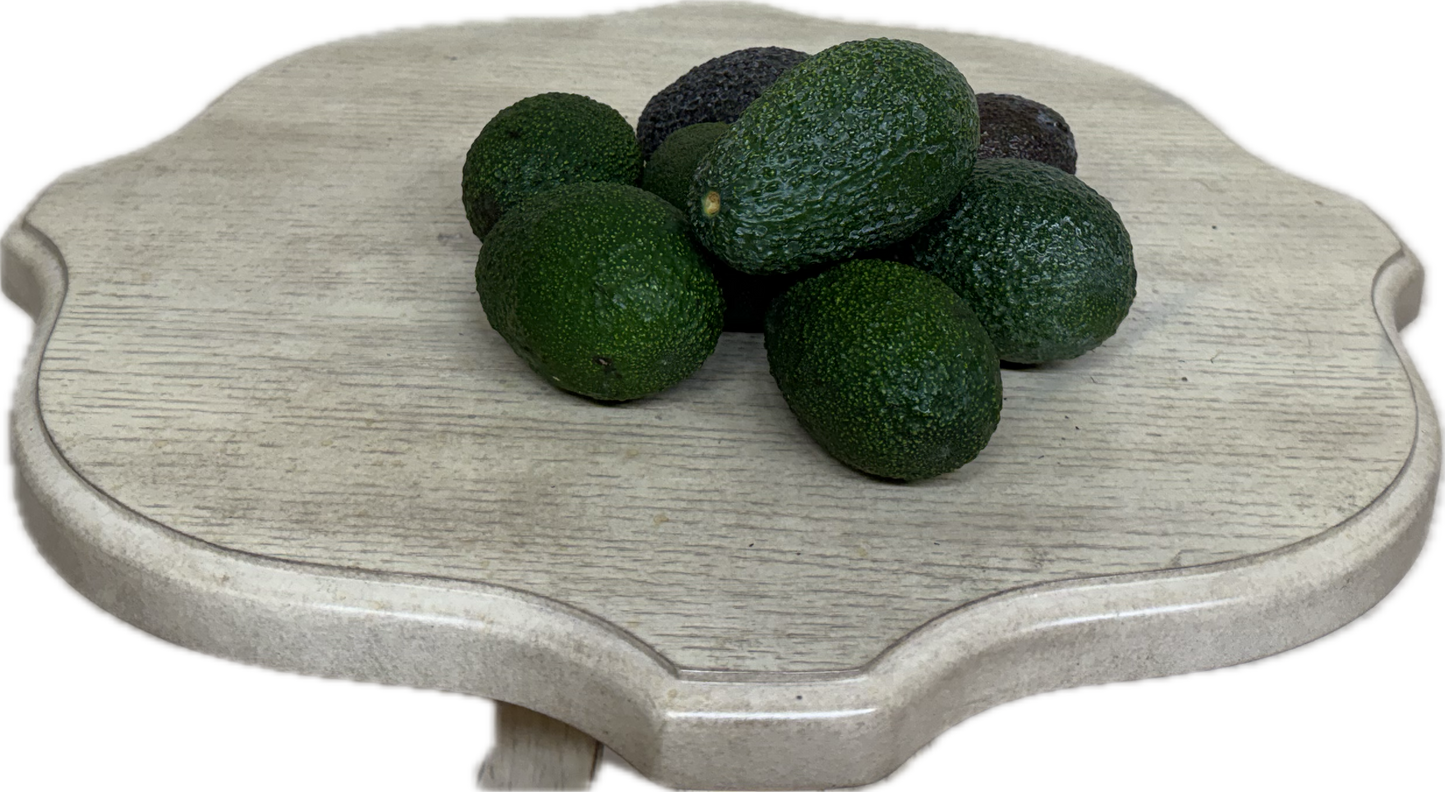Avocado (6 count)