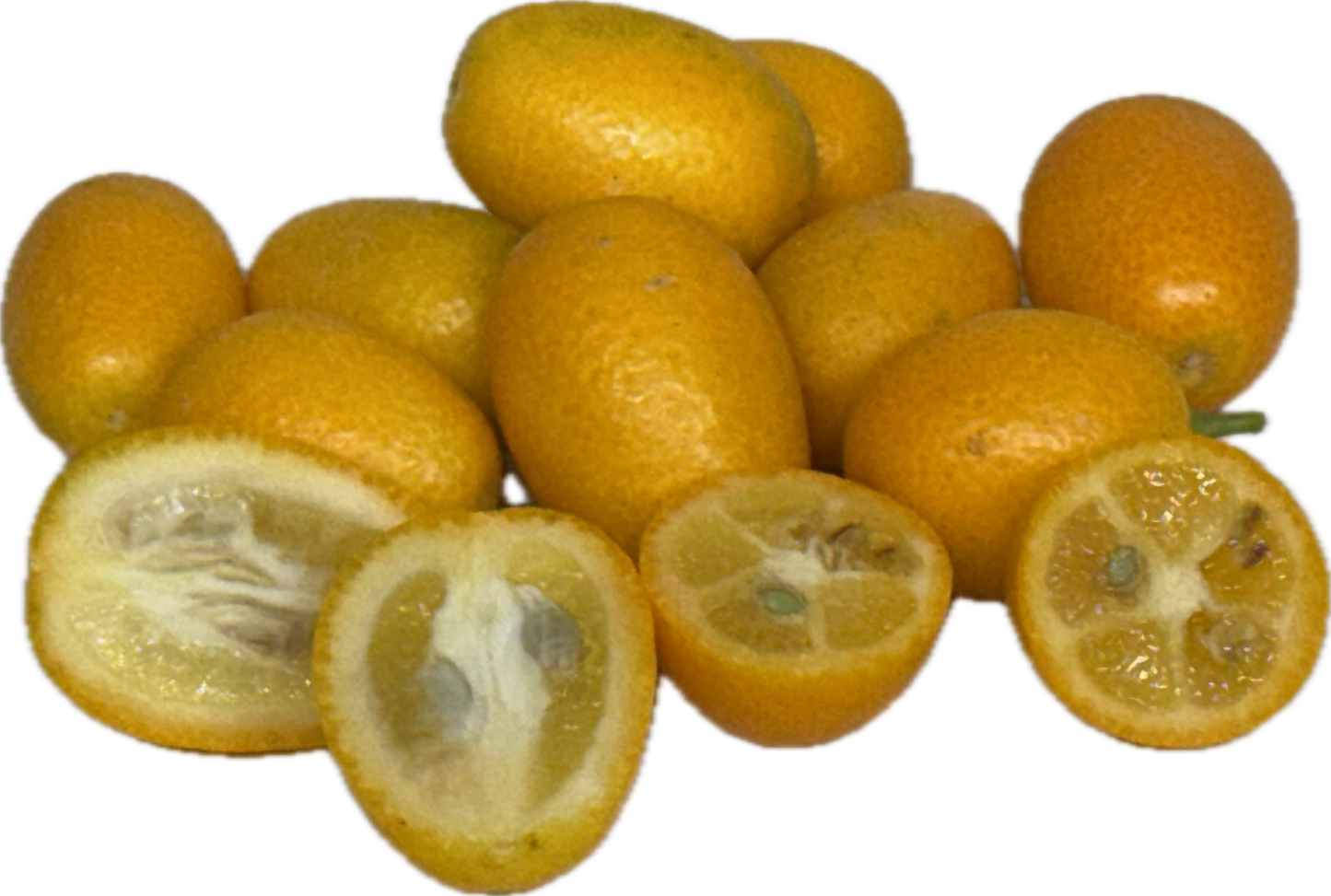 Kumquat (25 count)