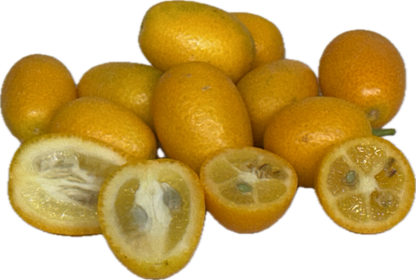 Kumquat (25 count)