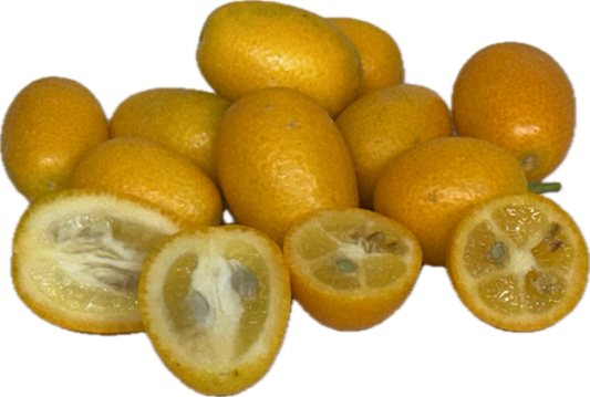 Kumquat (25 count)