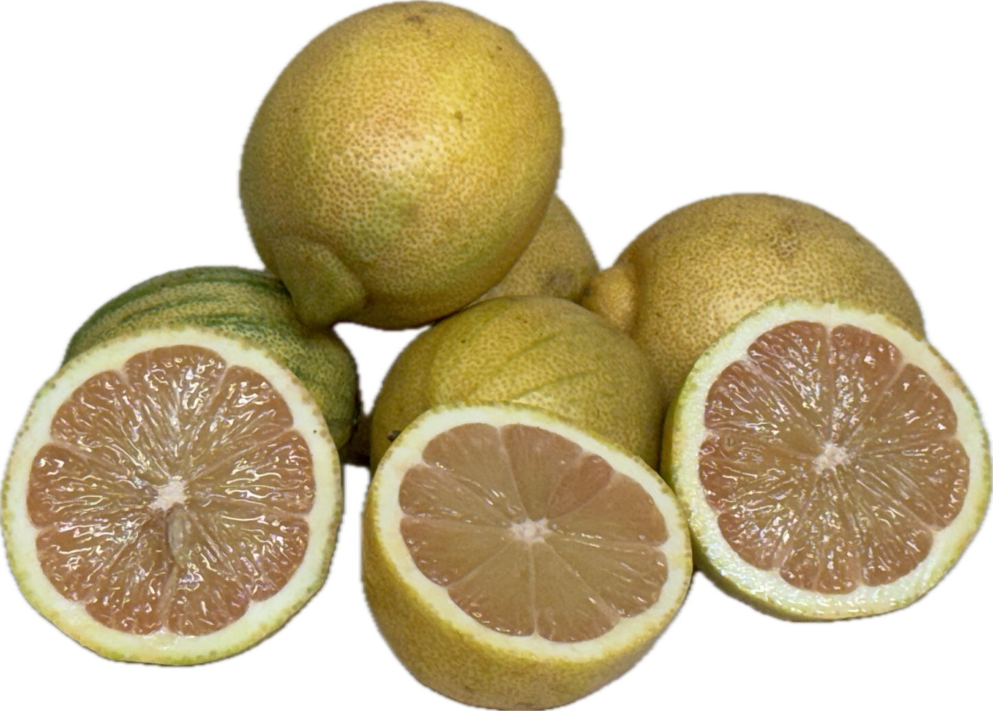 Pink Lemon (5 count)