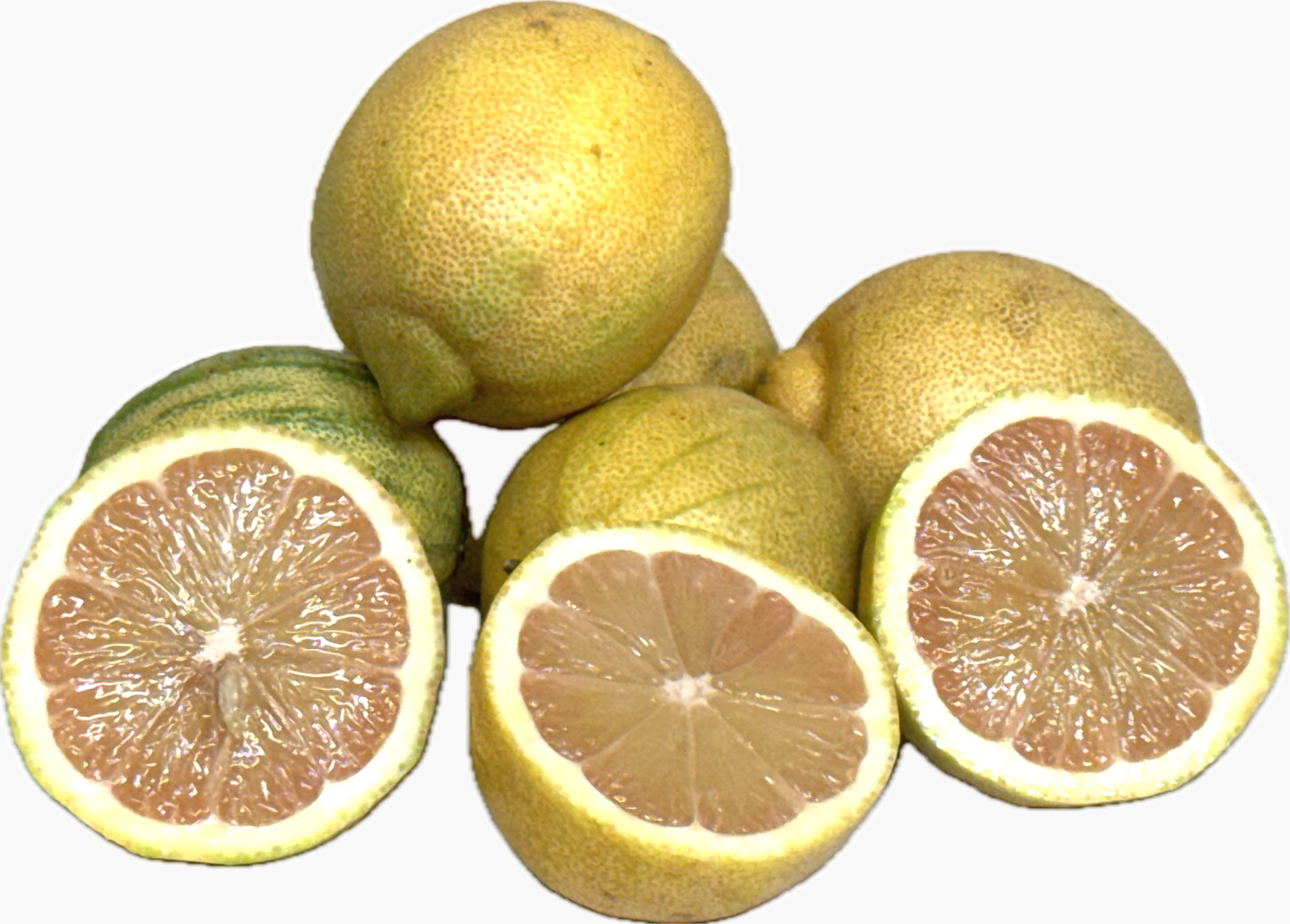 粉紅檸檬（5個）