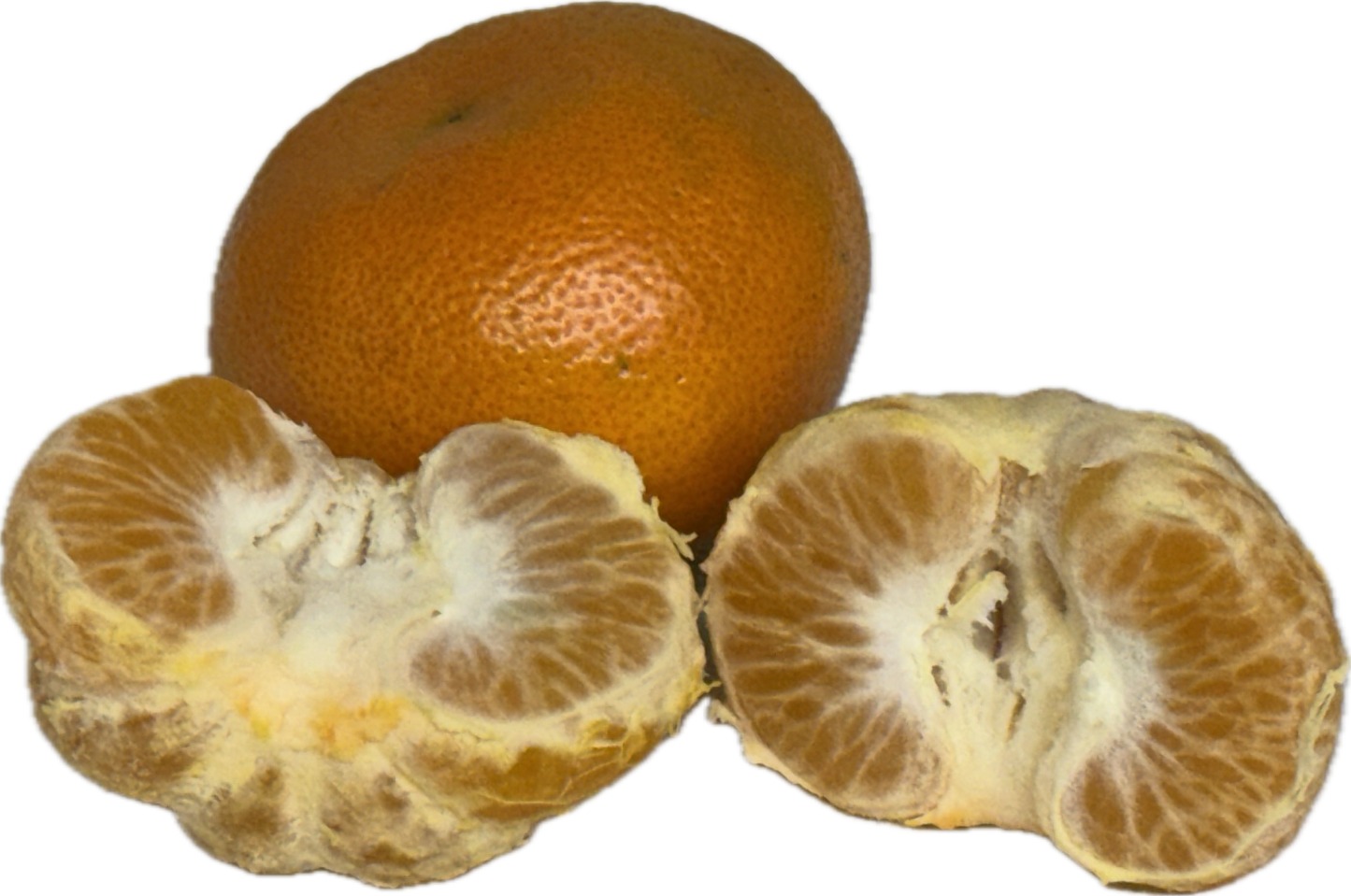 Honey Mandarin (25 count)