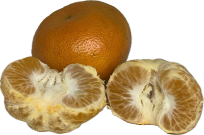 Honey Mandarin (25 count)