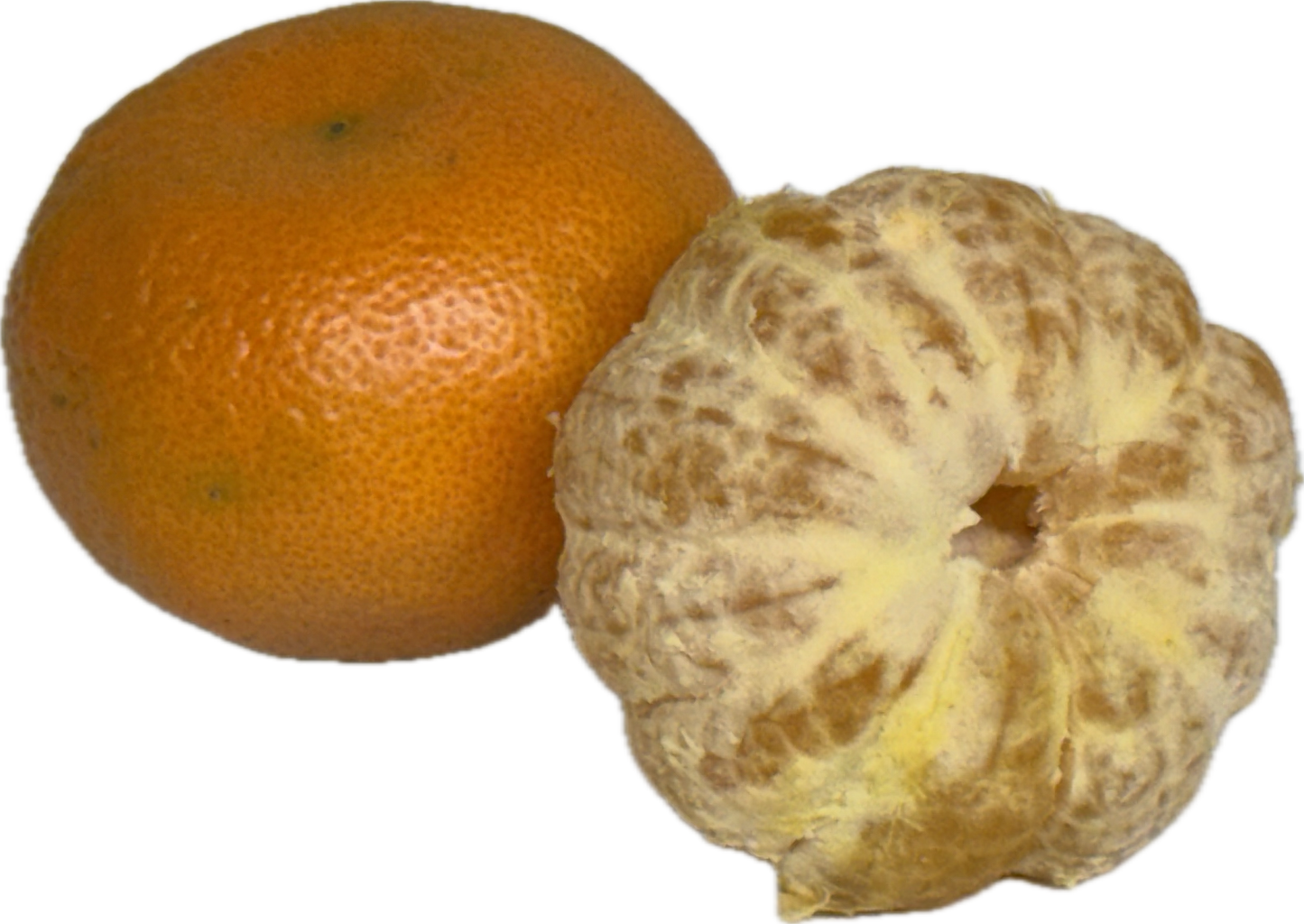 Honey Mandarin (25 count)