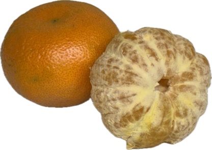 Honey Mandarin (25 count)