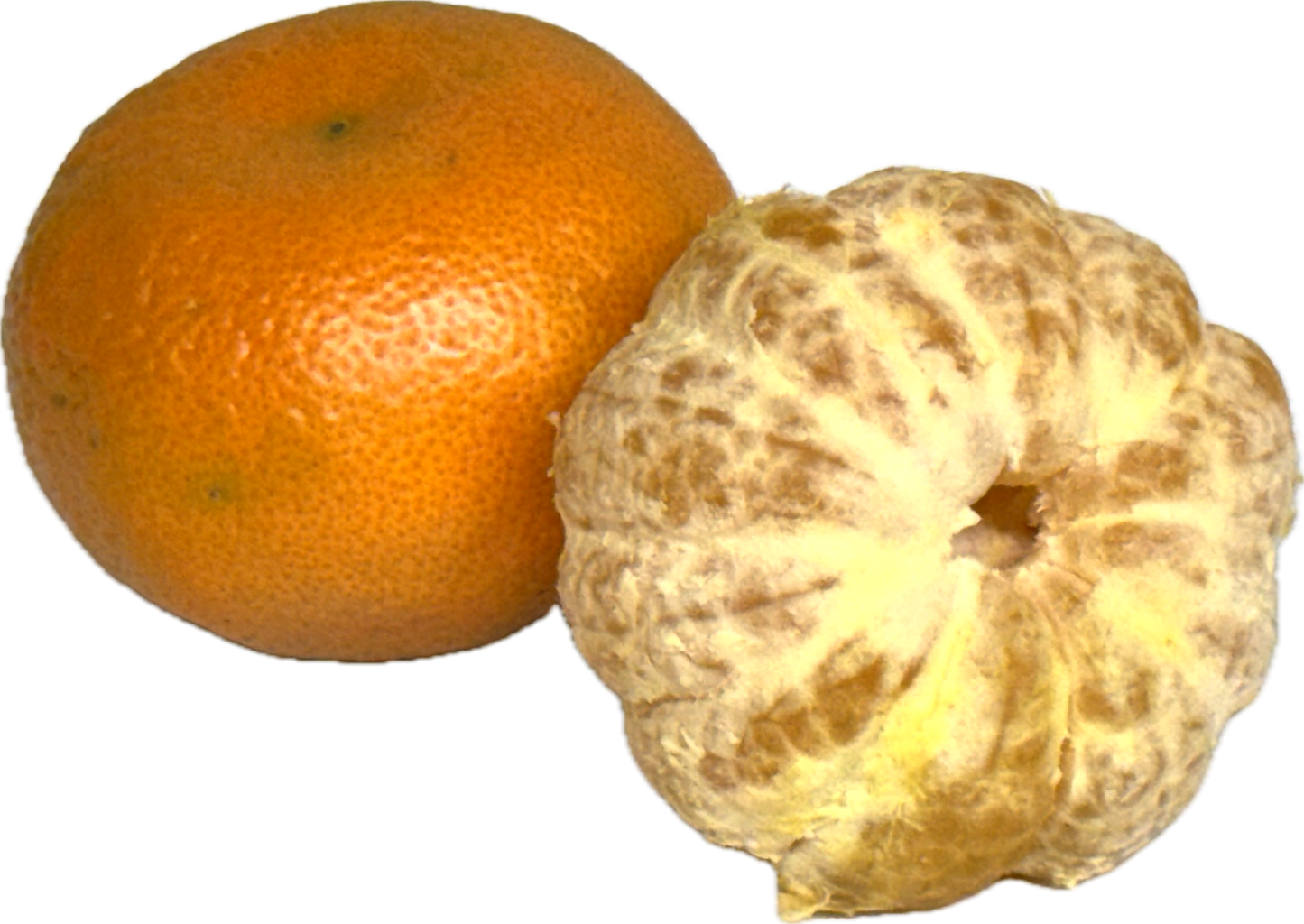 蜂蜜柑橘味（25个）