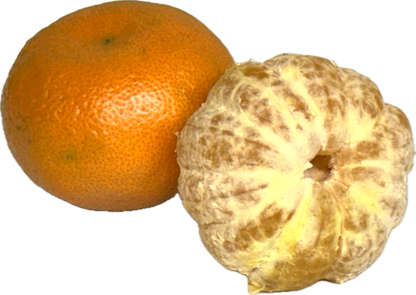 蜂蜜柑橘味（25个）
