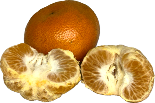 蜂蜜柑橘味（25個）