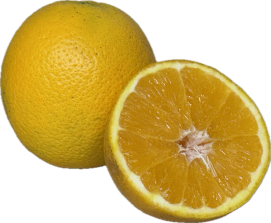 Valencia Oranges (10 count)