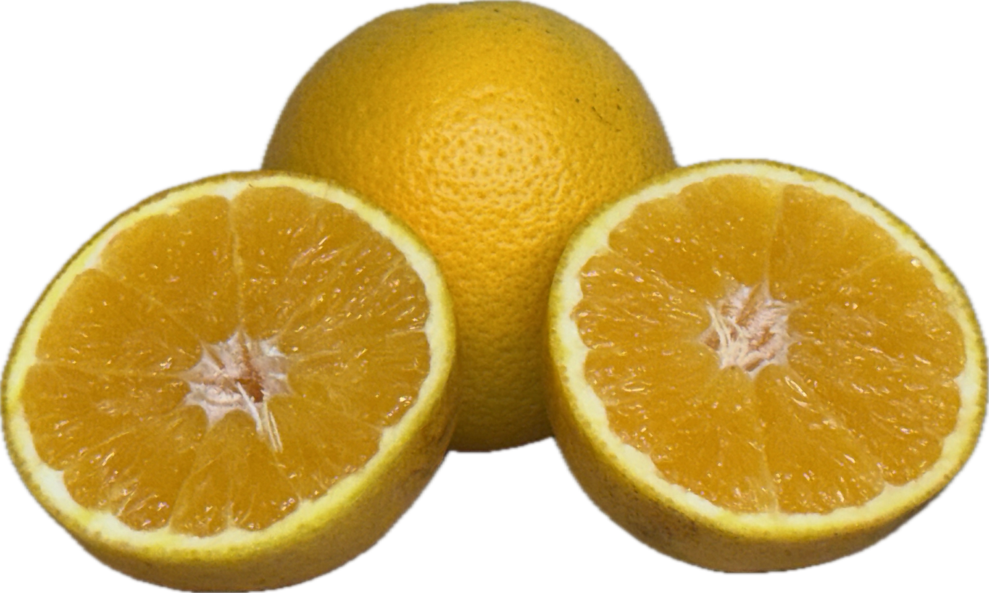 Valencia Oranges (10 count)