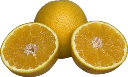 Valencia Oranges (10 count)