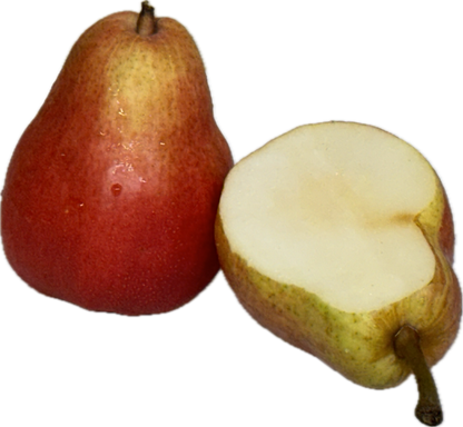 Pear (6 count)