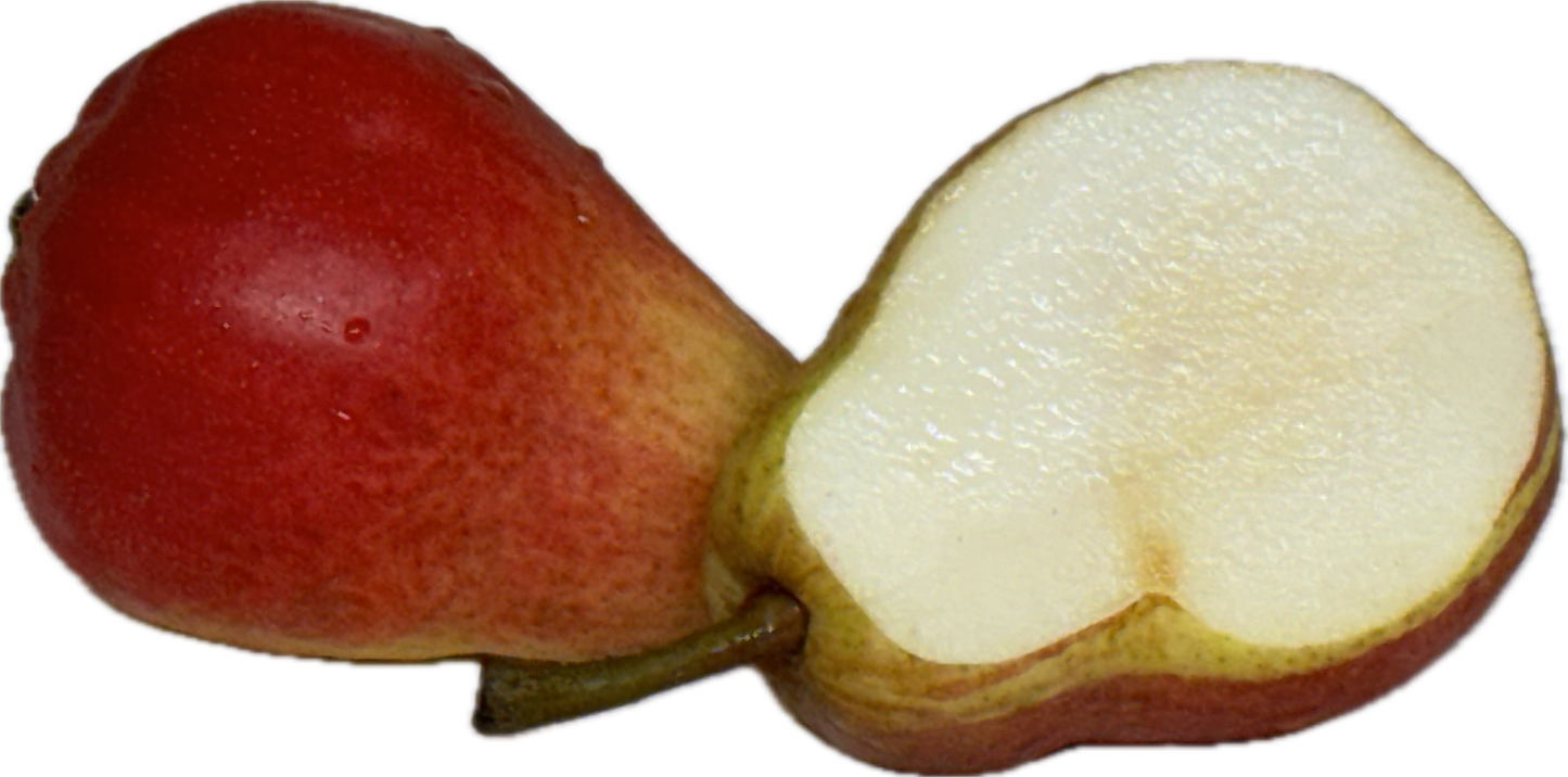 Pear (6 count)