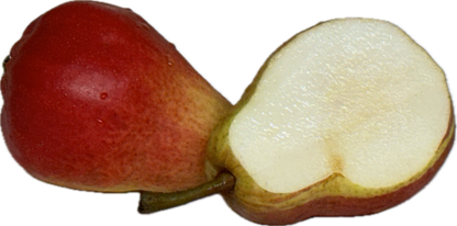 Pear (6 count)